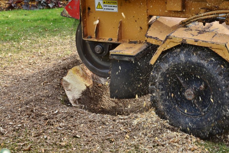 Stump Grinding