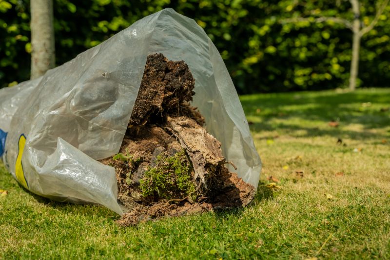 Cost of Tree Removal — Cost of Tree Removal