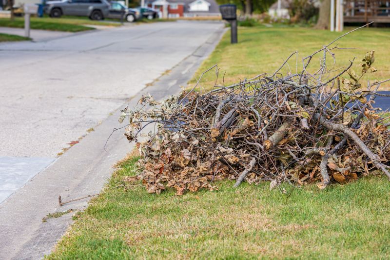 Leaf Removal at Property Edges