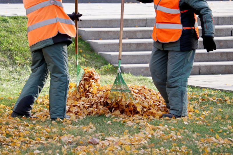 Leaf Raking and Collection