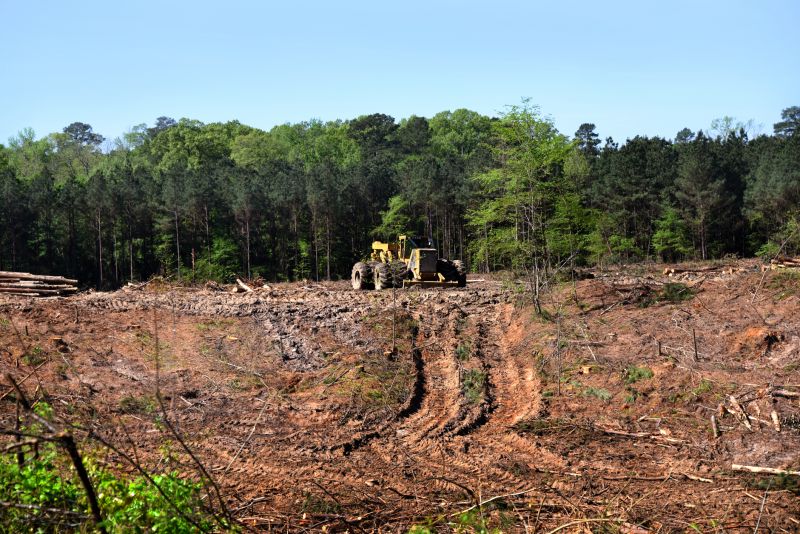 Ground Clearing in Gwinnett County, GA