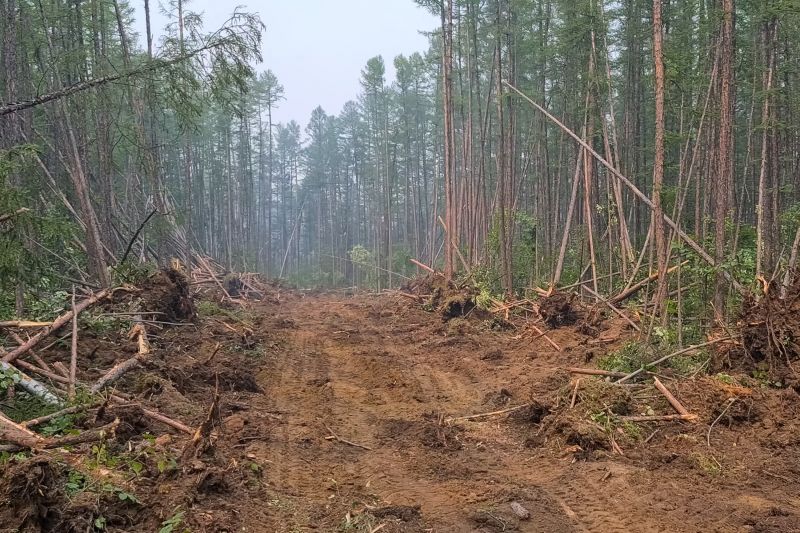 Site Cleaning in Cumming, GA