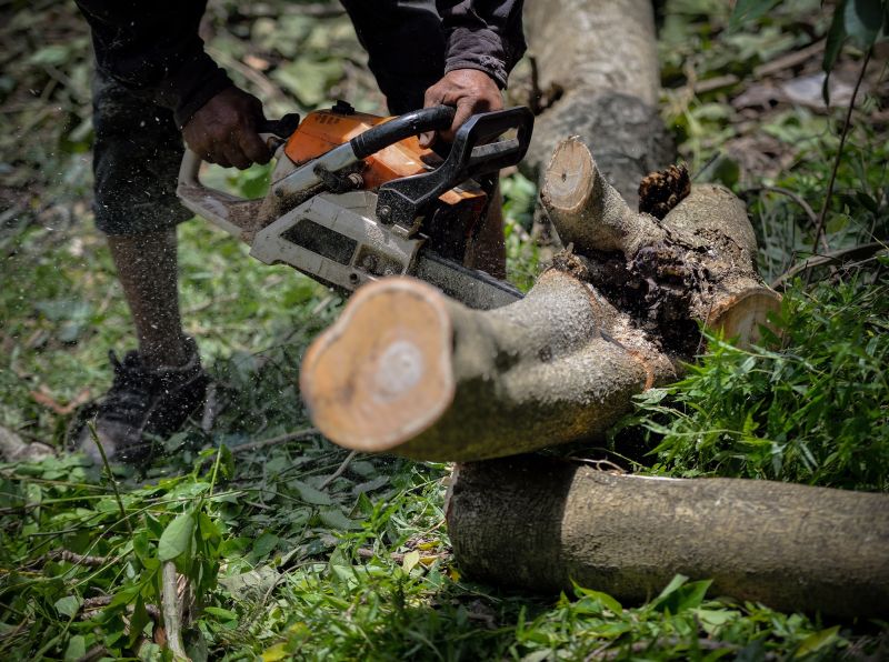 Experts handle the removal process quickly and efficiently